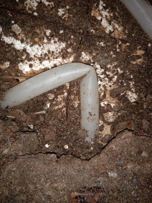 大埔堵点精准查找